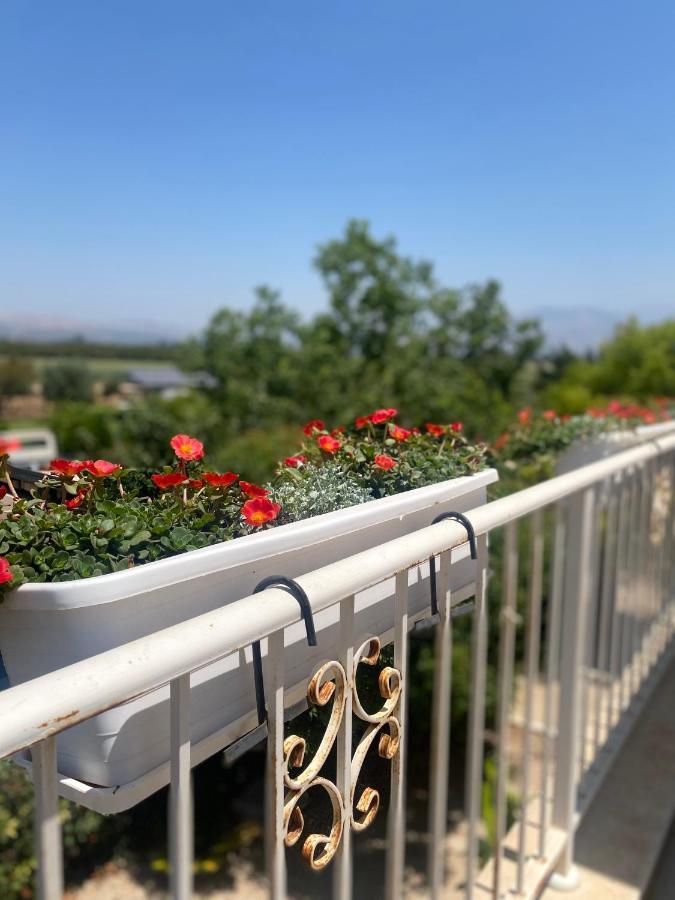The Roof Διαμέρισμα Kfar Blum Εξωτερικό φωτογραφία